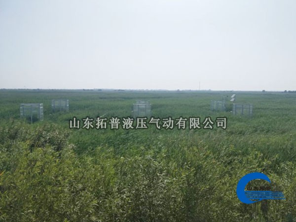 湿地观测技术