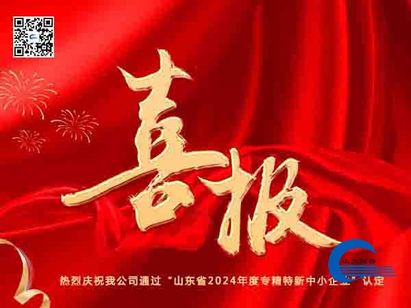 热烈庆祝我公司通过“山东省2024年度专精特新中小企业”认定